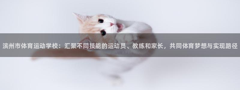 vsport体育官网下载：滨州市体育运动学校：汇聚不