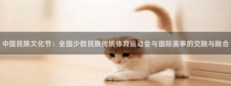 vsport体育官方正版app五金厂：中国民族文化节