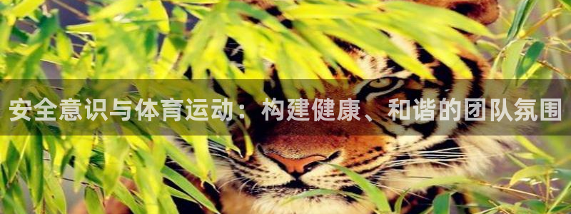 vsport体育官网下载平台注册流程图：安全意识与体