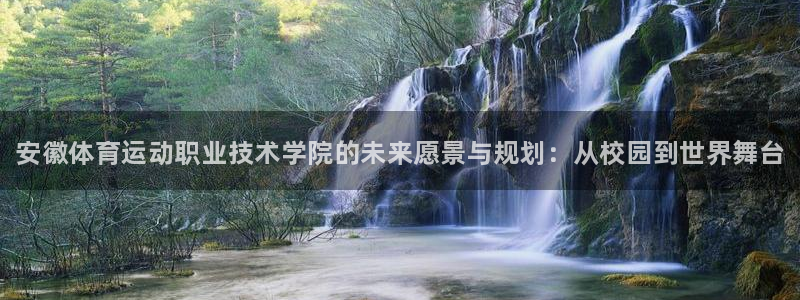 vsport体育官网下载招商电话地址是多少：安徽体育