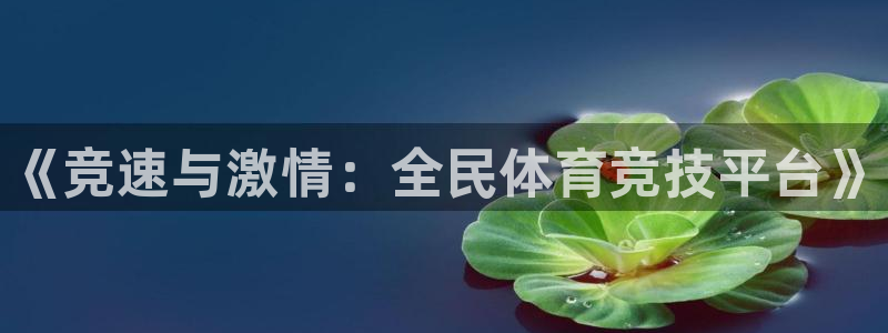 海南vsport体育官网下载发展怎么样：《竞速与激情