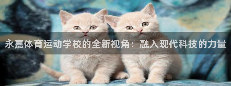 vsport体育官网下载平台是正规平台吗安全吗