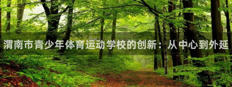vsport体育官方正版app五金厂：渭南市青少年体