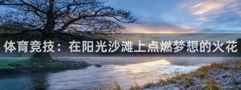 vsport体育官网下载招商电话号码：体育竞技：在阳光沙滩上