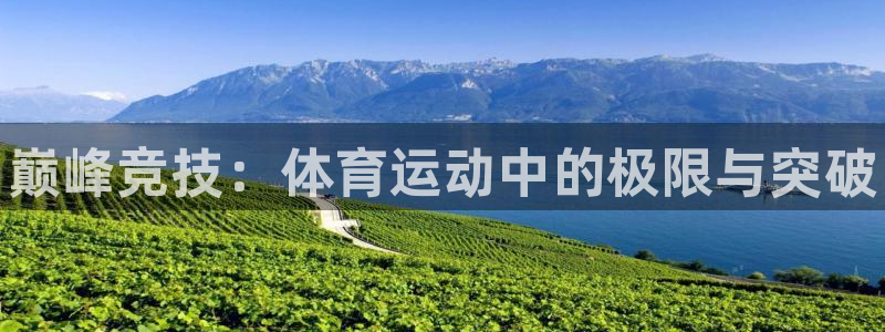 vsport体育官方正版app集团官网首页：巅峰竞技：体育运