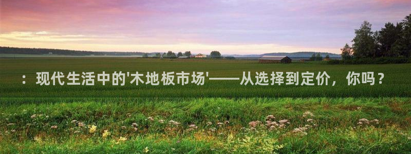 vsport体育官方正版app娱乐是那个系列的台子：