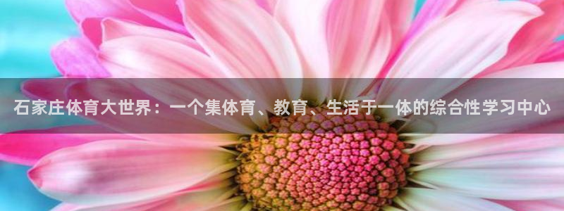 vsport体育官网下载招商电话地址：石家庄体育大世界：一个