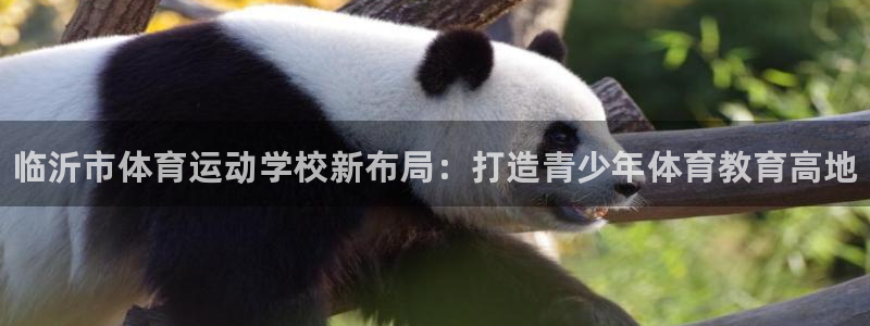 海南vsport体育官网下载发展怎么样：临沂市体育运动学校新