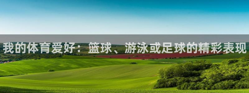 vsport体育官方正版app神州：我的体育爱好：篮