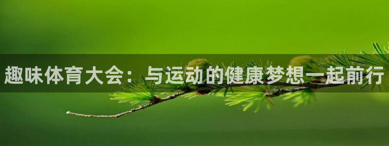 vsport体育官网下载平台注册流程视频：趣味体育大会：与运