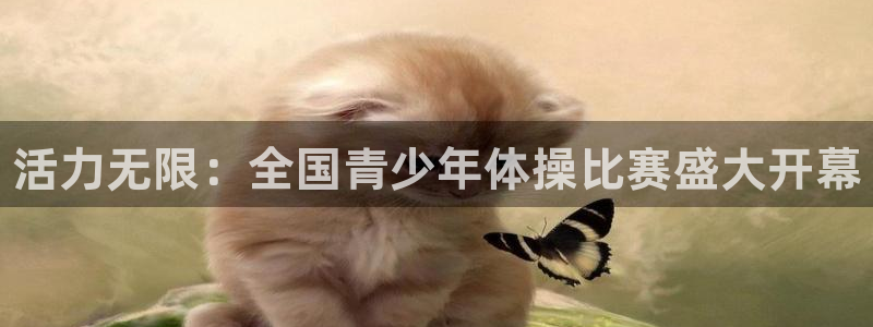 vsport体育官网下载招商电话地址