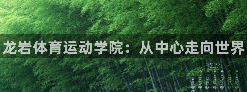 vsport体育官方正版app新能源