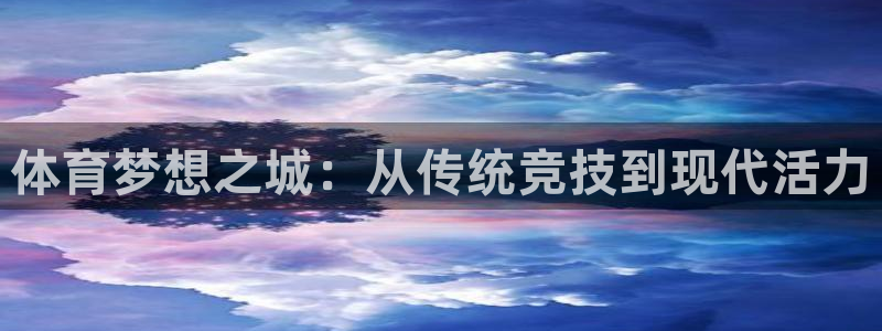 vsport体育官方正版app集团logo：体育梦想