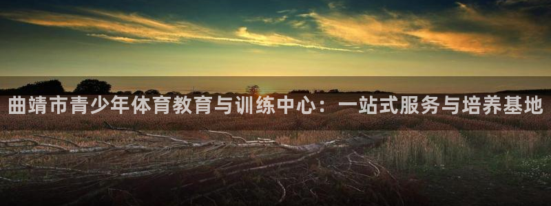 vsport体育官方正版app集团简介