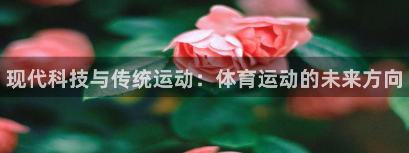 vsport体育官网下载联系电话：现代科技与传统运动