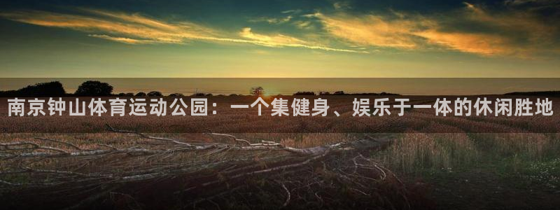 vsport体育官网下载娱乐：南京钟山体育运动公园：