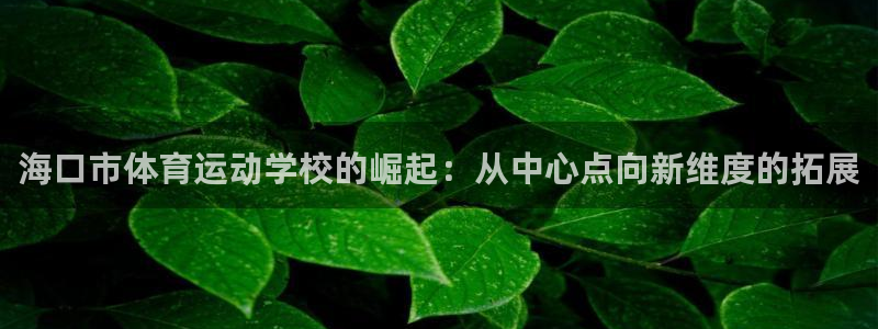 vsport体育官网下载平台注册要钱吗：海口市体育运动学校的