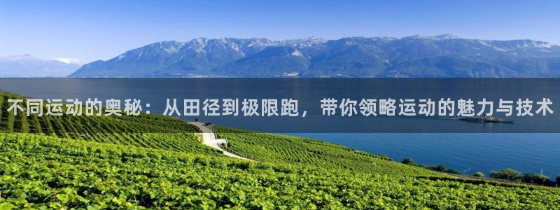 vsport体育官方正版app五金厂：不同运动的奥秘
