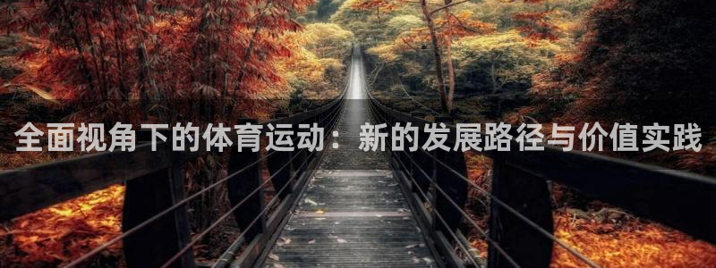 vsport体育官方正版app代理：全面视角下的体育运动：新