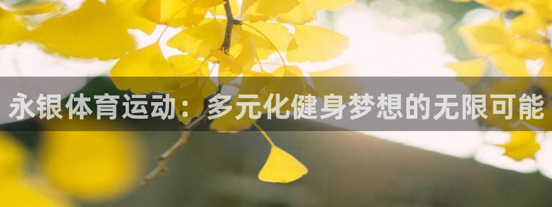 vsport体育官方正版app集团logo：永银体育运动：多
