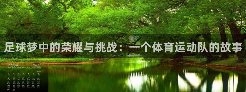 vsport体育官方正版app娱乐首页网站大全：足球