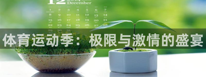 vsport体育官方正版app集团官网首页：体育运动