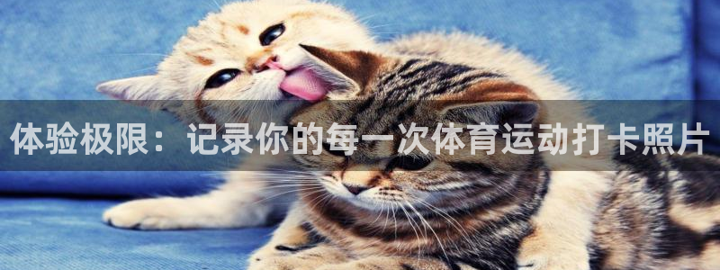 vsport体育官网下载平台是正规平台吗知乎：体验极限：记录
