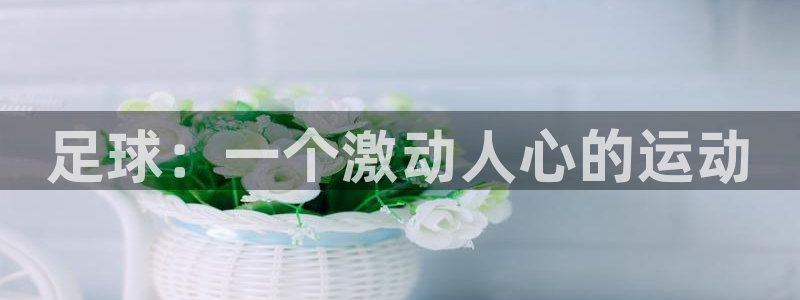 vsport体育官方正版app五金厂