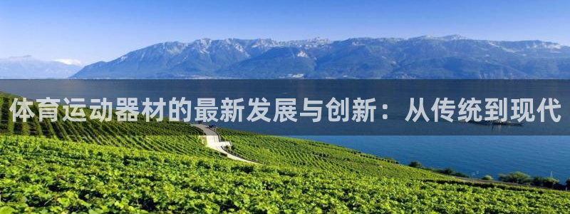 vsport体育官方正版app新能源：体育运动器材的