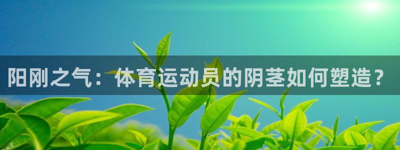 vsport体育官网下载平台注册要钱吗安全吗：阳刚之