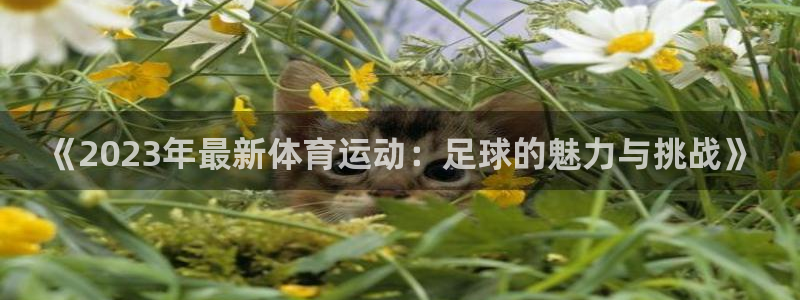 vsport体育官网下载联系电话：《2023年最新体