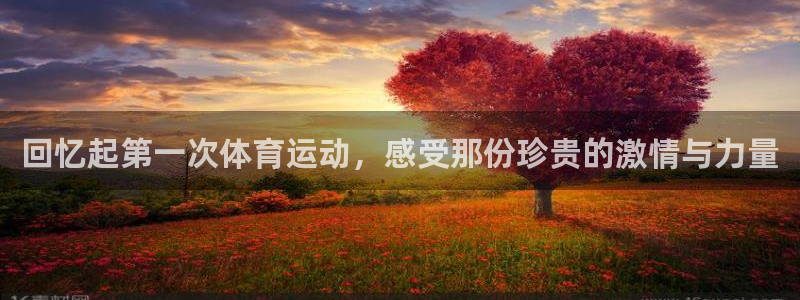 vsport体育官方正版app娱乐40996