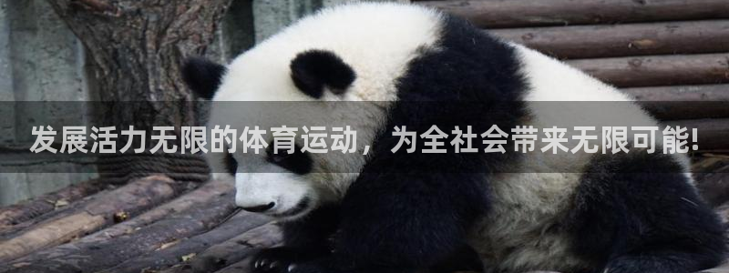 vsport体育官方正版app五金厂：发展活力无限的体育运动