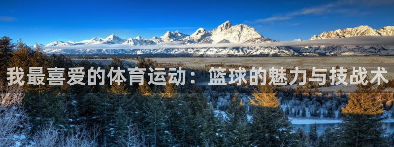 vsport体育官方正版app集团官网网址：我最喜爱的体育运