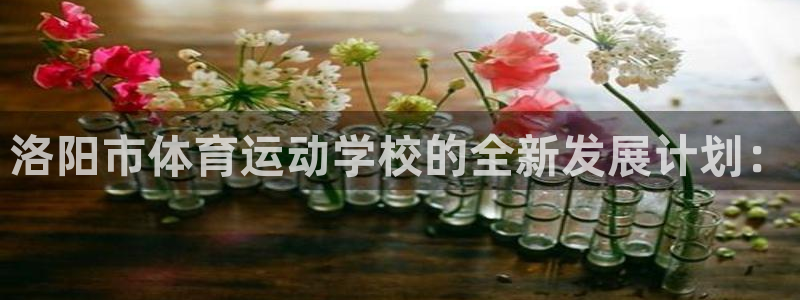 vsport体育官网下载平台是正规平台吗知乎：洛阳市体育运动