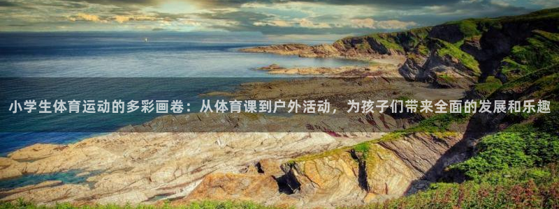 vsport体育官方平台体育：小学生体育运动的多彩画