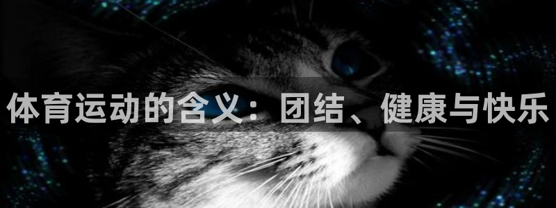 vsport体育官网下载招商电话：体育运动的含义：团结、健康