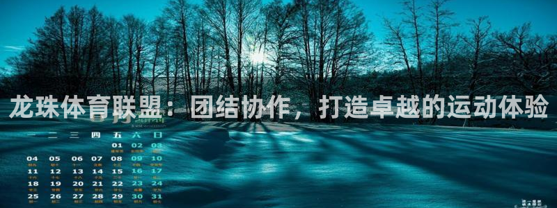 888看球直播吧：龙珠体育联盟：团结协作，打造卓越的运动体验