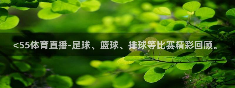 nba88看球直播免费直播：<55体育直播-足球、篮球、排球等比赛精彩回顾。