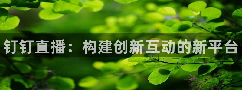 88看球直播(无插件)：钉钉直播：构建创新互动的新平台