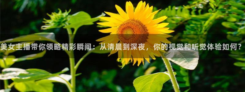 88看球直播高清：美女主播带你领略精彩瞬间：从清晨到深夜，你的视觉和听觉体验如何？
