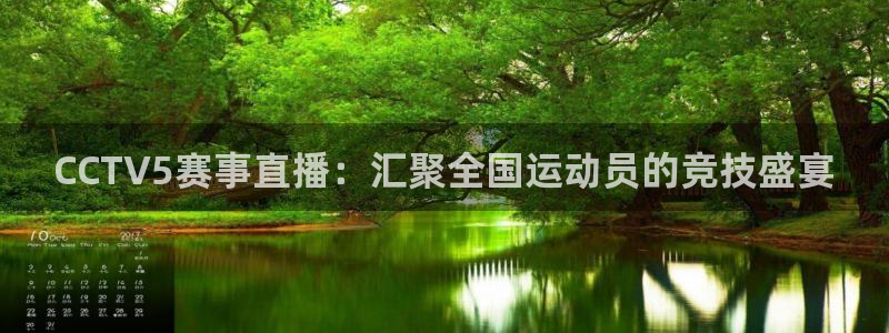 88看球免费nba直播：CCTV5赛事直播：汇聚全国运动员的竞技盛宴