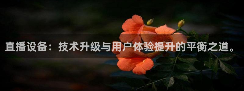 nba直播吧88看球：直播设备：技术升级与用户体验提升的平衡之道。