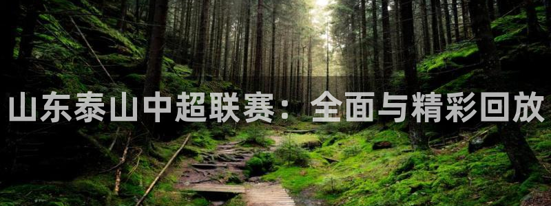 88看球nba直播吧：山东泰山中超联赛：全面与精彩回放