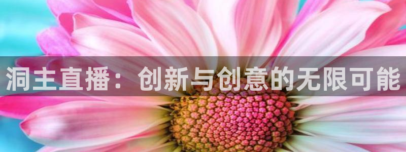 88看球直播网：洞主直播：创新与创意的无限可能