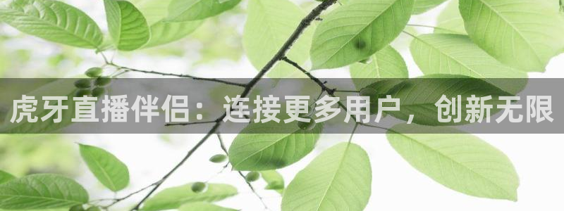 88看球免费直播高清观看：虎牙直播伴侣：连接更多用户，创新无限