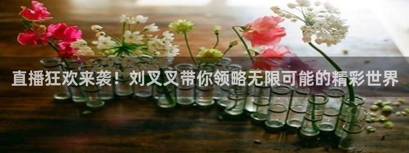 88看球直播官网nba：直播狂欢来袭！刘叉叉带你领略无限可能的精彩世界
