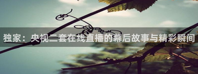 88看球直播网：独家：央视二套在线直播的幕后故事与精彩瞬间